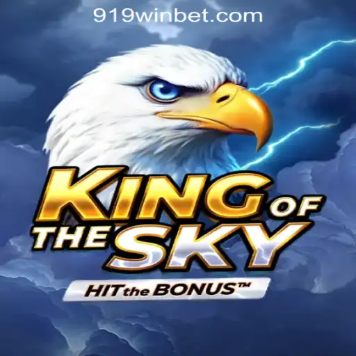 Exploring KingOfTheSky: A Premier Slot Game Experience